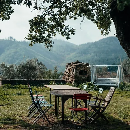 Apartamento Reggioli- Erborista *